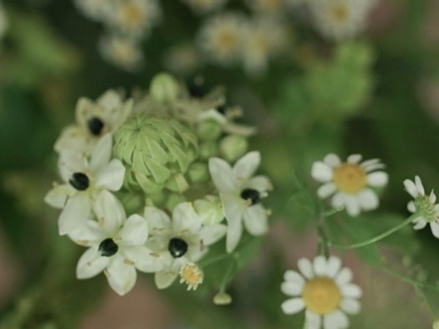 思い出を彩る、心のこもった花束をあなたの元へ