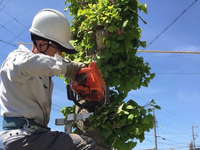 地域密着！お客様との対話を大切に、作業前・作業中・作業後まで徹底サポート。