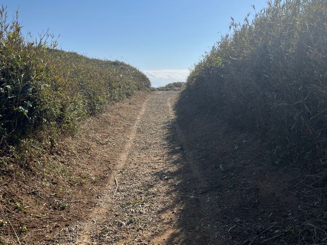 お客様に明るく丁寧な接客を心掛けています。