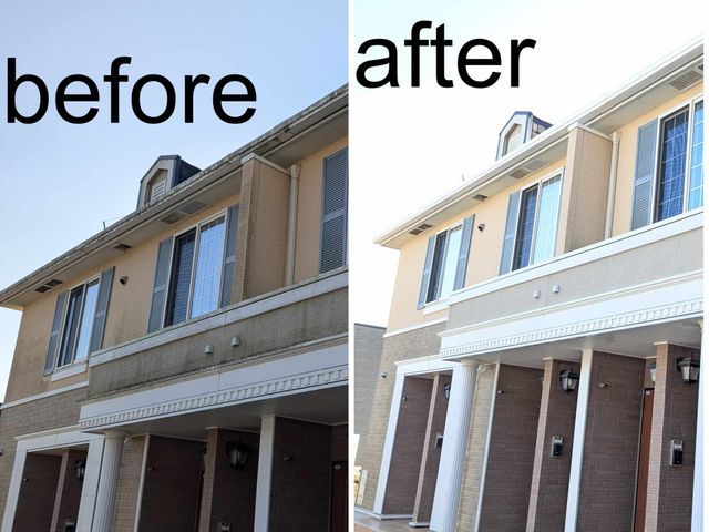 【外壁を傷めない植物由来洗剤】苔・黒ずみを解消！車などの移動不要◎