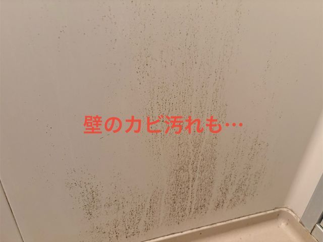 浴室(エプロン内含む)洗浄