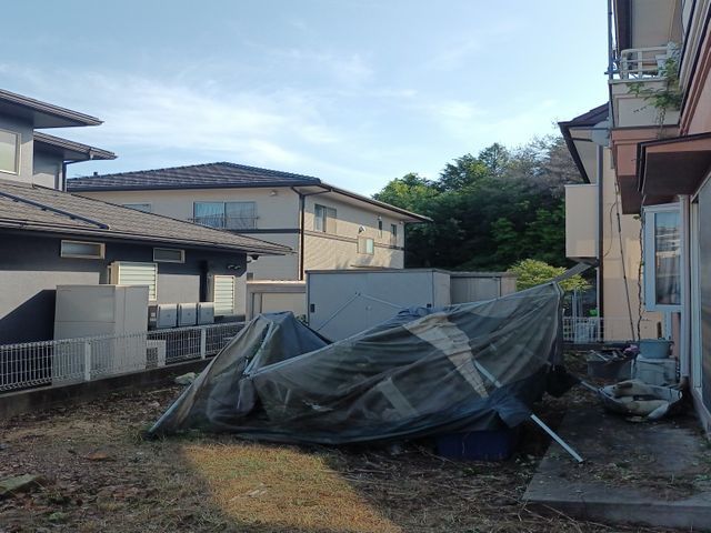 庭木の剪定、伐採