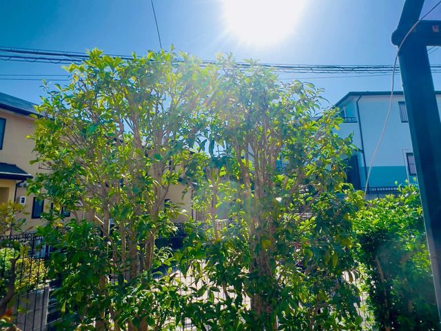 夫婦でお伺い可能です。迅速に対応し、理想のお庭にするサポートをさせていただきます