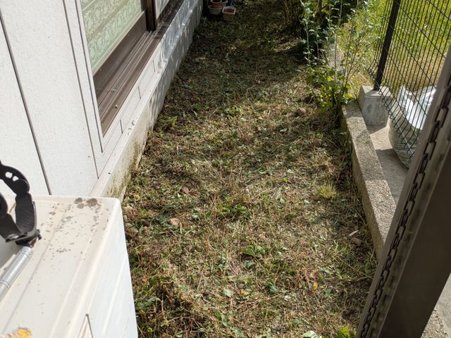 お庭の草刈りお受け致します。荒れたお庭もご相談ください。