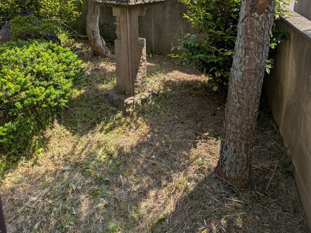 お庭の草刈りお受け致します。荒れたお庭もご相談ください。