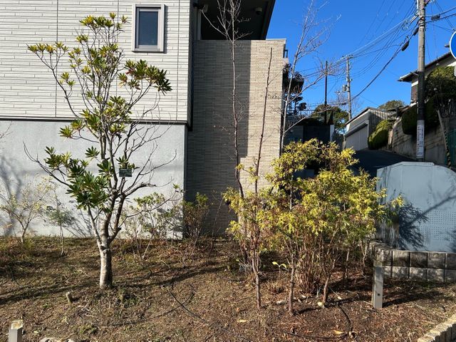 小さな庭木、1本から承ります！親切・丁寧・安心作業☆