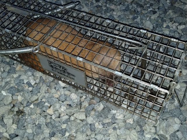 【年中無休・24時間対応】業歴20年以上！経験豊富なスタッフが解決します！