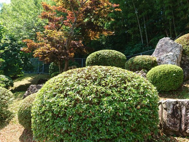 プロの技術でご満足いただけるように心を込めて作業いたします