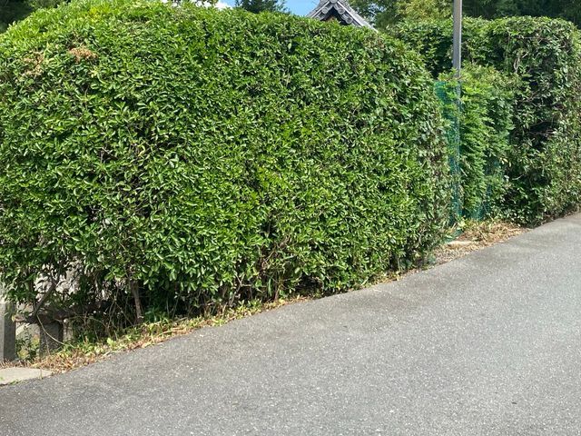 プロの技術でご満足いただけるように心を込めて作業いたします