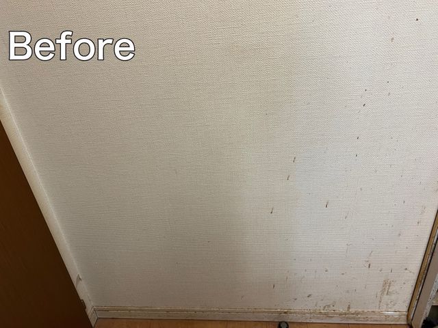 【3月出店】年間50件以上の実績！プロの技で隅々まで美しく