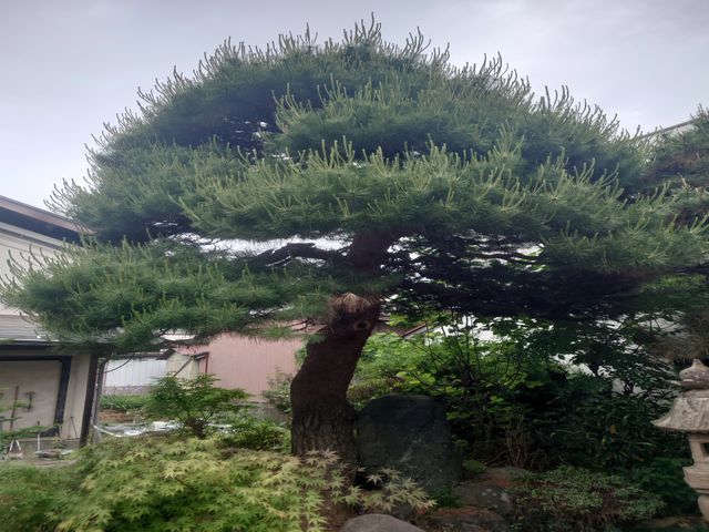 ★業界歴20年以上★作業実績は数百件★独立したばかりですが任せてみませんか!