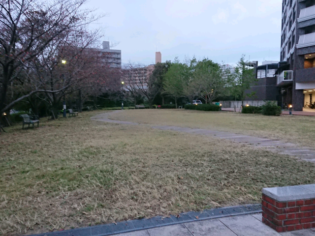 ＜１級造園技能士＞損害保険加入済み！対応地域外もご相談可能！女性スタッフ同行可◎