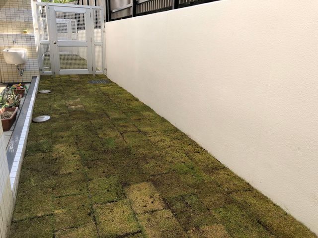 《植木屋を始めてから10年目》神奈川県を中心に対応中◎