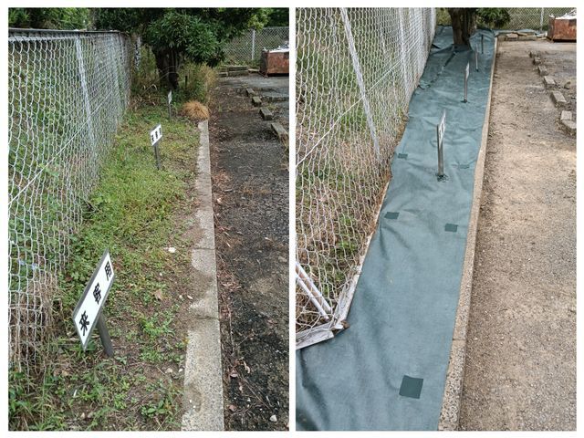 経験27年超のプロが手際よく仕上げる、お庭のケア