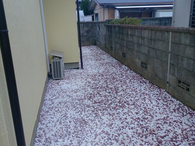 【7年の実績】大手経験あり◉リピーター多数★