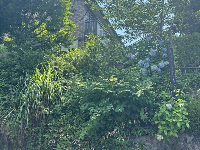 伸び放題のお庭も、プロの草刈りでスッキリ！立ち合いなしでも可能です！