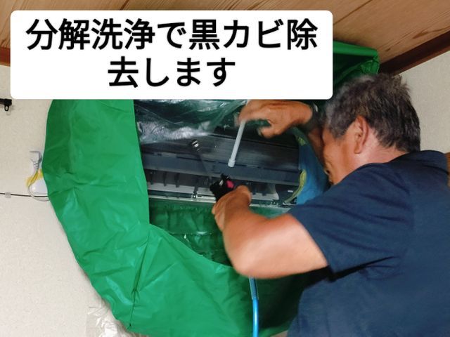 お値段以上の感動洗浄　閉め切ったお部屋に爽やかな風を！PayPay対応　非喫煙者
