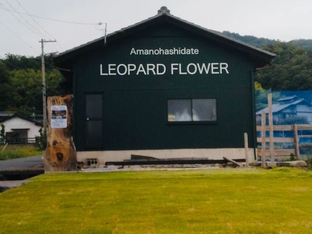 春・秋は芝張りのベストシーズン！今年こそ理想のグリーンに！