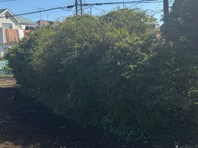 沖縄うるま市発！即日対応可能な地元密着型サービスで安心丁寧な仕上がりをお約束