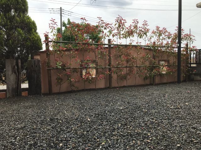 【職歴20年】一級造園技能士◎女性スタッフの同行可！安心の保険加入済み！