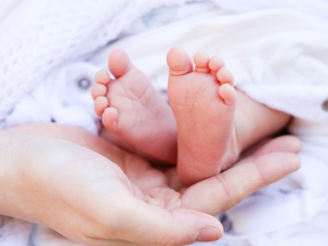 出店キャンペーン　先着5名様まで13,000円