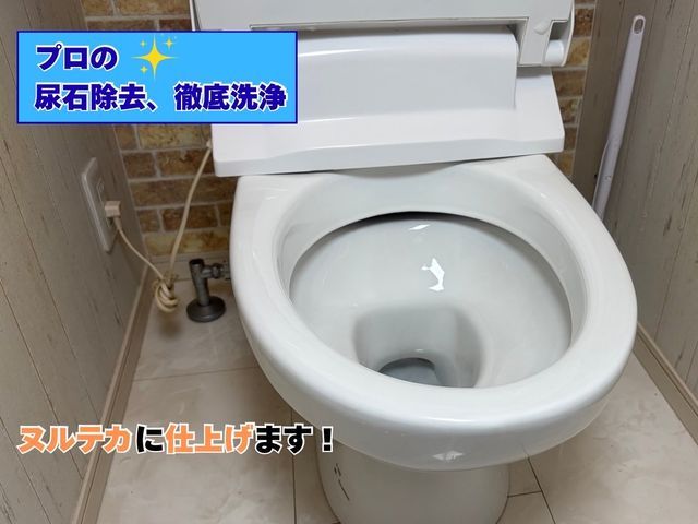 【出店記念価格】◆職人歴５年以上◆黄ばみ・黒ずみ・尿石、新築の輝きに戻します！