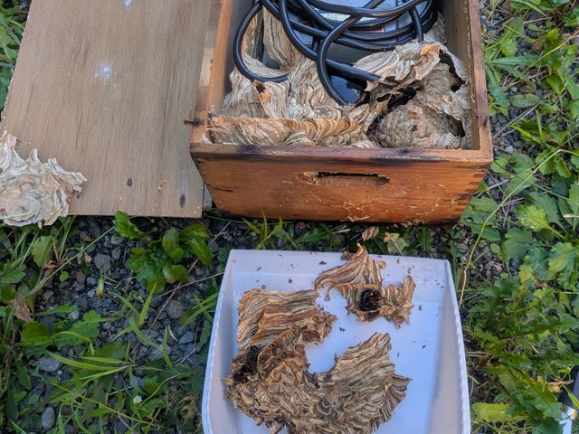 営業時間外・対応地域外も相談可能！事前説明と損害保険で安心して任せられる