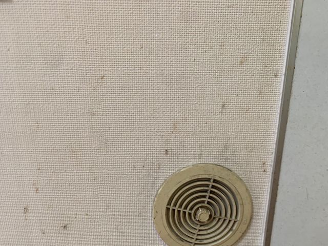 クロス再生 塗り替えサービスの画像