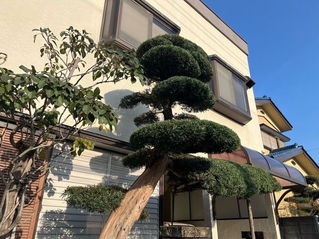 イメージ通りの仕上がりを！お客様の要望に忠実な庭木の剪定サービス