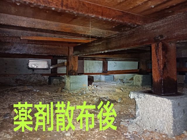 ＜損害保険加入済みで安心！＞営業時間外のご予約もご相談OK◎サービスの画像