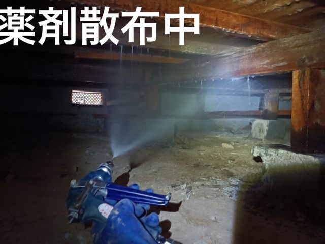 ＜損害保険加入済みで安心！＞営業時間外のご予約もご相談OK◎サービスの画像