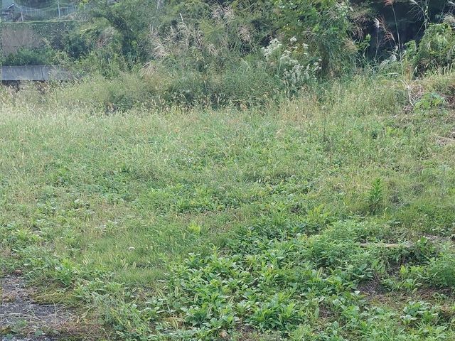 バッテリー機、エンジン機の二刀流！環境や状況に応じて自在に変更可能！