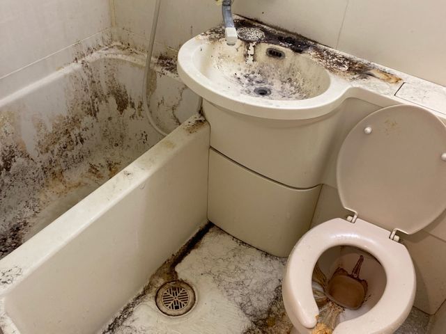 豊富な経験と知識で安心！仕上がり重視で丁寧に施工いたします！