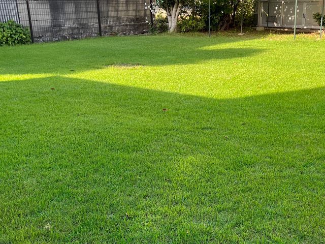 芝生の除草剤散布、その他薬剤散布。芝生の品質向上管理