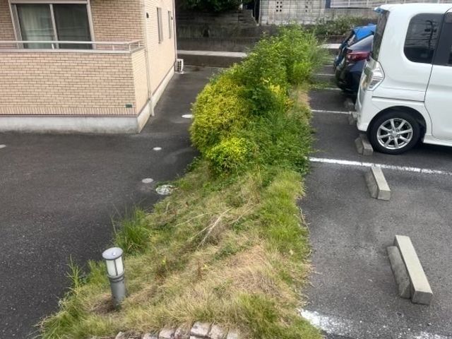 安心法人！！草刈りシーズンお任せください！