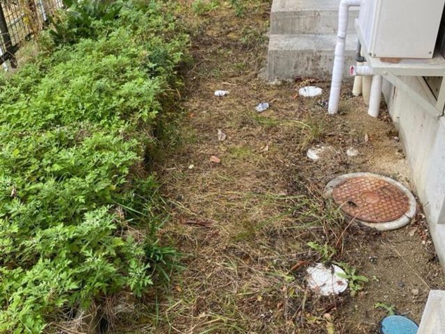 ●雑草のストレスを解決●    除草剤散布無料