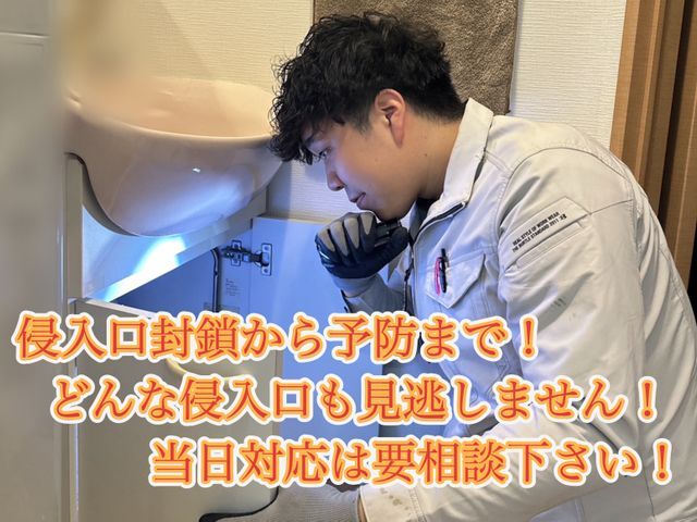 有資格者(国家資格)による駆除！「小蝿駆除プロ・迅速対応！清潔環境サポート」