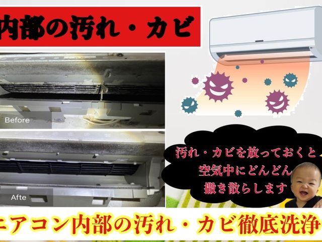 【総合ランキング上位店舗】❇損害保険✴大手出身❇対応◎✴即レス❇口コミ高評価