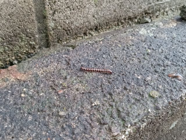 【業歴30年の経験と実績】年中無休◎駐車代お店負担◎営業時間外も対応OK