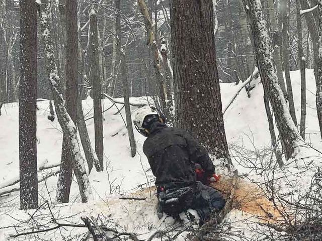 【損害保険加盟店】『特殊伐採承ります！』◉まずはお問い合わせください◉