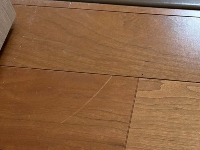 11月出店◇◆感謝の気持ちで奉仕のサービス◎賃貸退去も安心！適切な補修範囲を提案