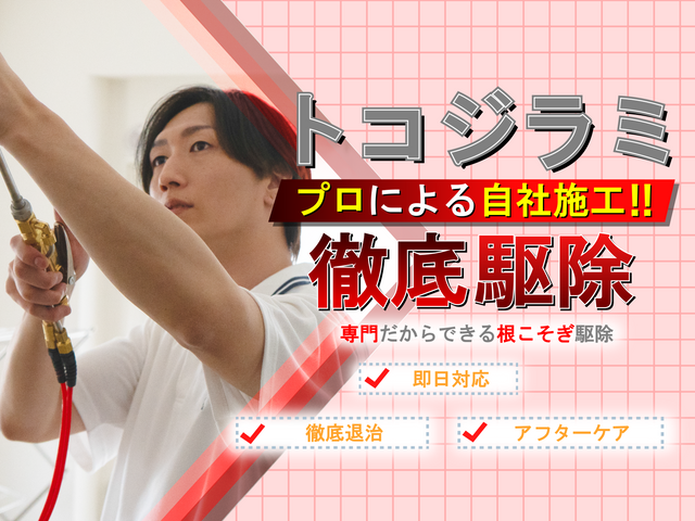 ◆トコジラミ駆除専門◆即日対応可能です！完全駆除実績多数☆お任せください！