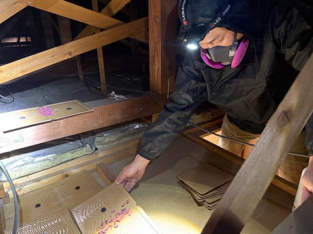 【駆除歴8年目】適正価格保証　即日対応可　真心込めて作業します！インボイス登録店