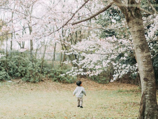 その人らしさを大切にした家族写真。こどもたちの自然な姿を残します。