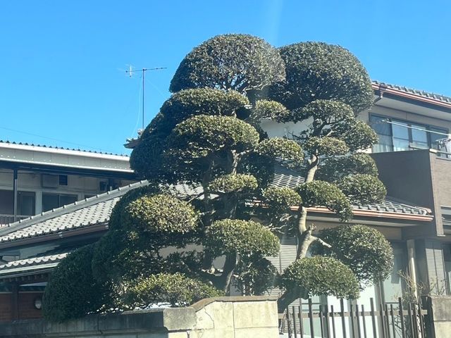 プロの技術でご満足いただけるように心を込めて作業いたしますサービスの画像