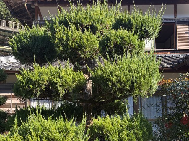 作業外注一切なし、要望確認から仕上げ・清掃まで責任を持って対応いたします