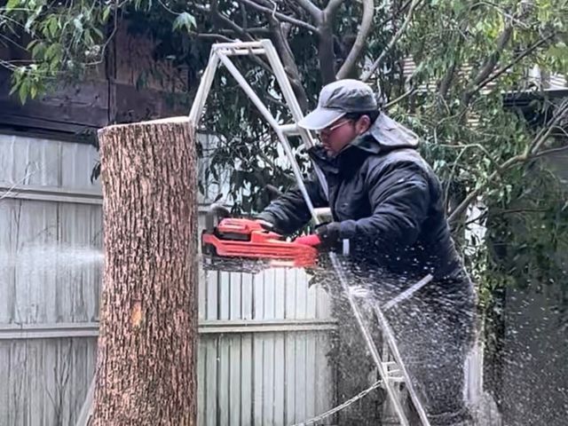 【プロが伺います】手に負えなくなった樹木の伐採はお任せ下さい！
