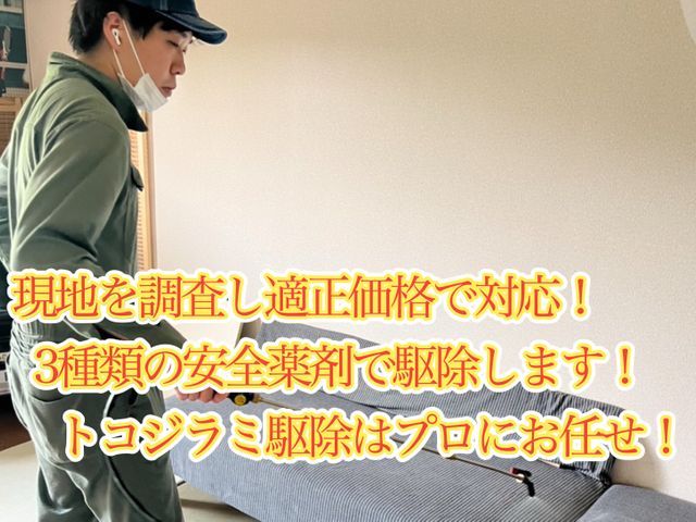 国家資格保持者のトコジラミ駆除！もう見たくないを実現します！被害0へ！当日可能！