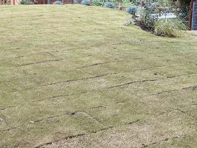 プロの技術でご満足いただけるように心を込めて作業いたします