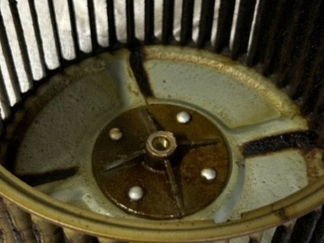 専用の業務用洗剤でピカピカに。作業外注一切なし^^